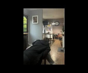 Amateur Porn: rimming jake